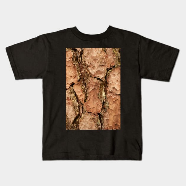 Brown golden cracked tree Kids T-Shirt by djil13